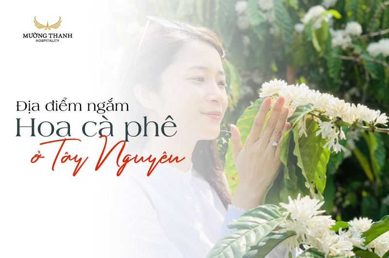 images/news/2025/03/original/dia-diem-ngam-hoa-ca-phe-tay-nguyen_1742280662.jpg