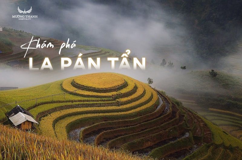 images/news/2025/04/original/kham-pha-la-pan-tan_1743581304.jpg